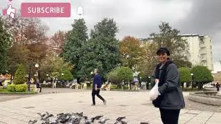 &ldquo;Feeding Wild Birds Up Close &mdash; You Won&rsquo;t Believe Their Reaction!&rdquo;