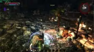 Kingdoms of Amalur Overgrown Thicket