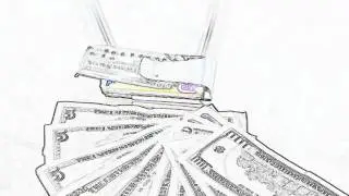Stop Animation Wallet