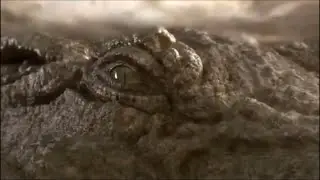 Prehistoric Crocodiles - 