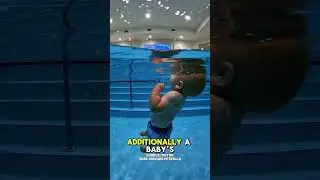 Why Don't Babies Drown When Submerged in Water😱