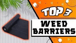 Best Weed Barriers For All Types