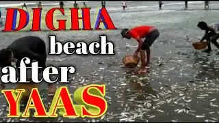 Digha Sea Beach after Yaas Cyclone.