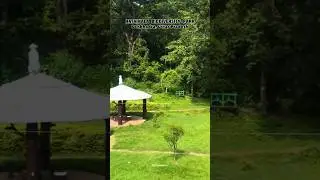Biodiversity Park SonBhadra Uttar Pradesh