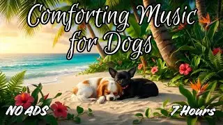 Don't Let Your Dog Feel Lonely 🏠 7 Hours of Comforting Music 🐶❤️ [NO ADS]