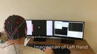 NRL 2D Control using Motor Imaginary Signals from Human Brain