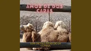 AMOR DE DOS CARAS