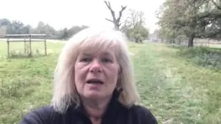 Elizabeth Gordon Day 12 Challenge 2