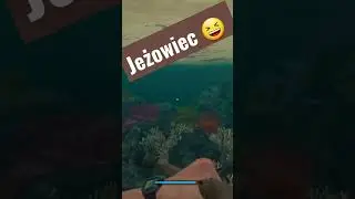 Stranded Deep #strandeddeepgameplay #epicgames #gramatek #survivalgame #shorts #poradnik