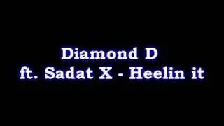 Diamond D ft. Sadat X - Feel it