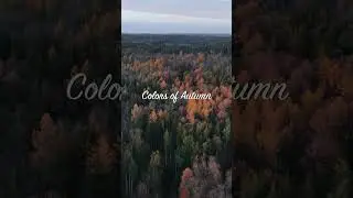 Autumn Colors in Germany #shorts #youtubeshorts #germany #drone #dji #fpv #shortvideo