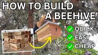 Kenyan Top Bar Hive - Why Farmers Choose This Design