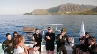 Dolphins and You &mdash; See Dolphins in their Natural Habitat!
