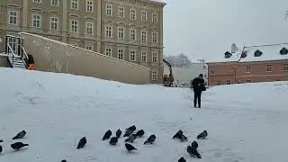 #snowfall ❄️☃️🌨️   #travel #streetwalking #charlesbridge #oldtownsquare #prague