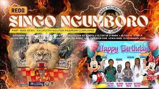 2. REOG SINGO NGUMBORO KHITAN ALBI AGUS SATYA HAJAD BPK. RUDI / CIP / SILA NGUTER 21 DESEMBER 2025