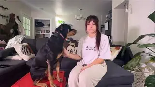 Ogden Utah Dog Training | Salt Lake City Dog Training | &ldquo;Trust It and Do It Because It's Worth It