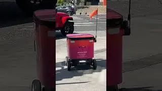 This Robot Delivers Food By Itself!