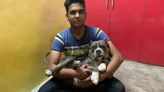 Trying my winter&rsquo;s clothes on my pitbull dog Alex 😂😂 || Fun Experiment || Delhiite Pitbull ||