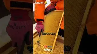 &ldquo;Apni Value Pehchano | Motivational  Story | Life Lessons 🔥&rdquo;#shorts #motivation #success #realvalue