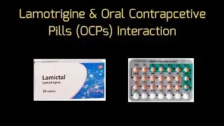 Lamotrigine (Lamictal) and Oral Contraceptive Pills (OCPs) Interaction