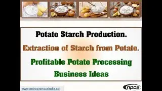 Potato Starch Production | Extraction of Starch from Potato | Profitable Potato Processing Business.
