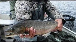 Big Brook Trout - Crooks Lake Lodge