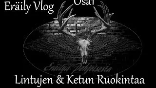 Er&auml;ily Vlog Osa1 : Lintujen- & Ketun Ruokintaa
