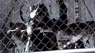 Ministry - The Last Sucker [Adios... Putas Madres 2008]