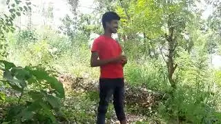 Beautiful Forest in Dumbara Knuckles Area