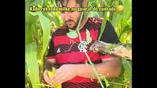 Kadu roba milho no quintal do cunhado 😂😱
