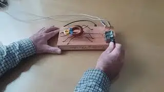 Spider Crystal Radio with powered sound.
