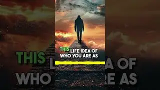 BASHAR | WHAT IS THE SOLE'S PURPOSE | DARRYL ANKA