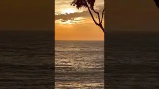 Лучший антидепрессант этой зимой!🙌🏻☀️Тихая природа #calm nature #рассветнаморе #sunset #рай