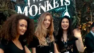 12 Monkeys Vapor Co. - VapItaly