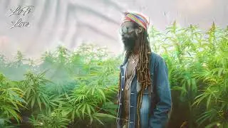 🌿 Farmer's Garden Bliss // Chillout & Lofi Reggae Harmony