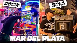 DE GIRA POR LAS CALLES DE MAR DEL PLATA • LLEGÓ EL OSO • MDS CLIPS