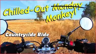 Chill Honda Monkey Ride: Countryside Vibes!