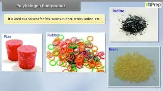 Polyhalogen Compounds I | Haloalkanes and Haloarenes | Chemistry | Class 12th | iPrep