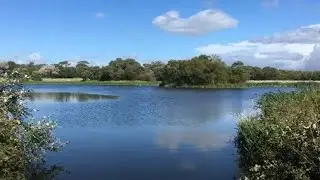 Ardeer Quarry Local Nature Reserve
