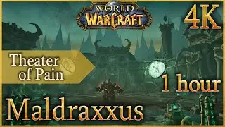 Theater of Pain - Maldraxxus | Ambient & Zone Music | 1 hour - WoW Shadowlands | 4K 60fps
