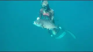 Spearfishing Exmouth 2018 - Submerge Yourself