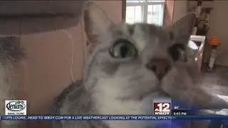 Local bank hosts Humane Society Appreciation event
