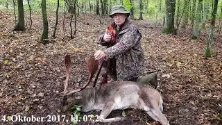 Jagt p&aring; D&aring;hjort i Polen 2017 - Hunt for Fallov Deer in Poland 2017