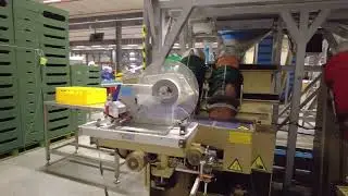 Affeldt weighing machine with C Pack net clipper