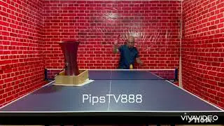Long Pimples attack vs Backspin
