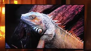 Philips 55OLED855/12, HDR, sound from camera microphone. Camera Mi 10 lite (prof. mode)