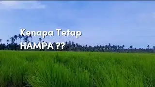 Kenapa Hidup Gak Bahagia || Meski Hiburan Ada Dimana-dimana