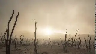 Desert Dust 4K Living Background | Motion Background Animation HD | No Copyright Videos.