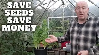 Save Seeds Save Money [Gardening Allotment UK] [Grow Vegetables At Home ]