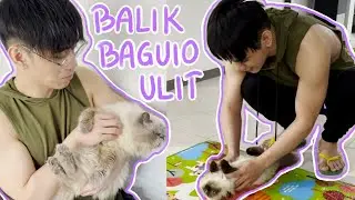 BALIK BAGUIO NA ANG KOYA JEN NIYO